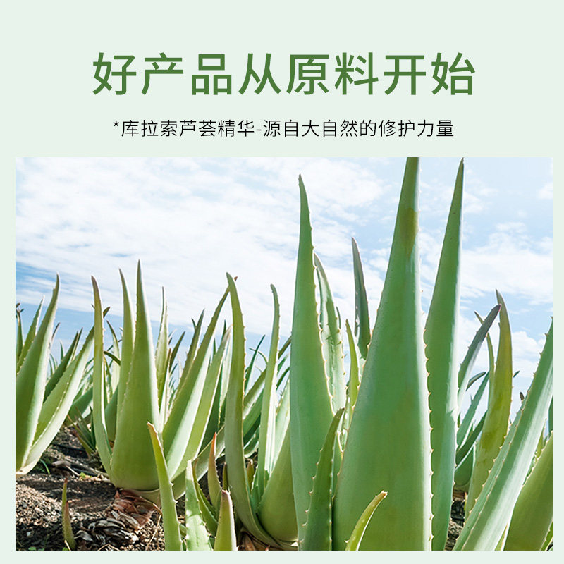 可爱小铺芦荟胶补水晒后修护凝胶 可爱小铺乳液/面霜