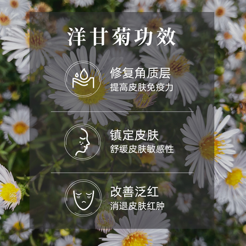 alba grups罗马洋甘菊纯露alba花水 莫西亚阿尔巴纯露/花水
