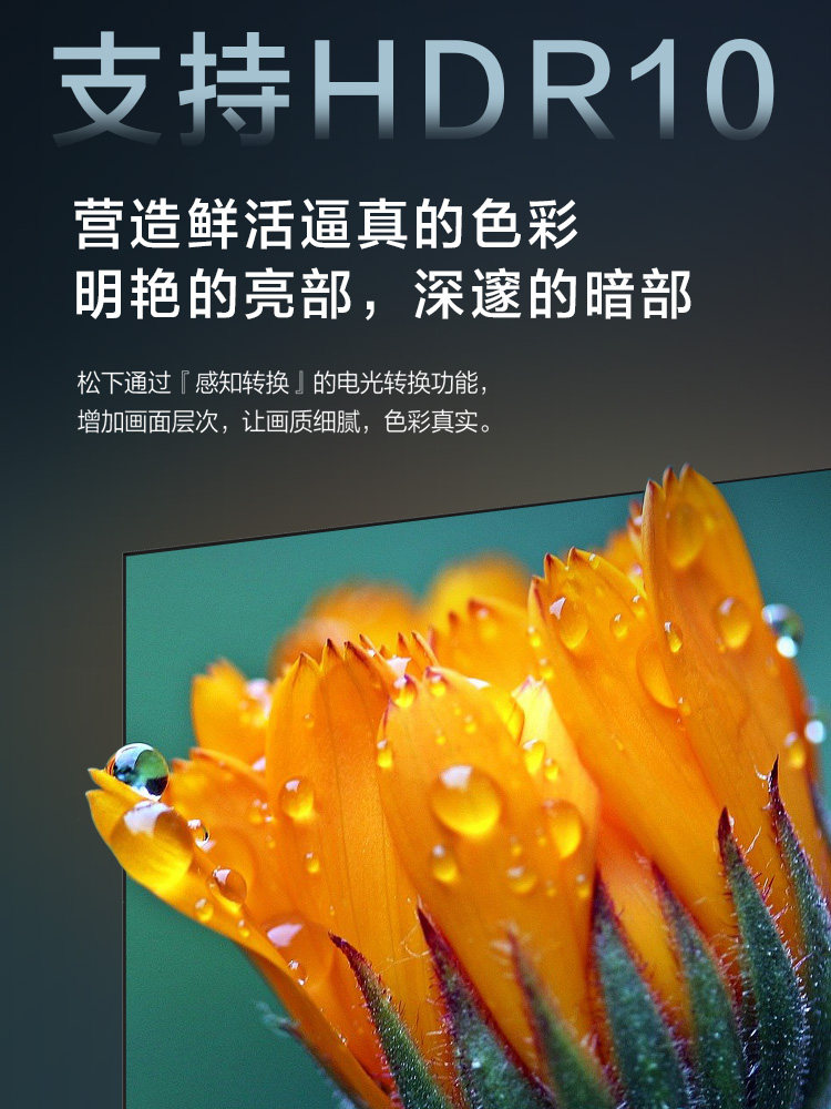  松下鸿锦平板电视