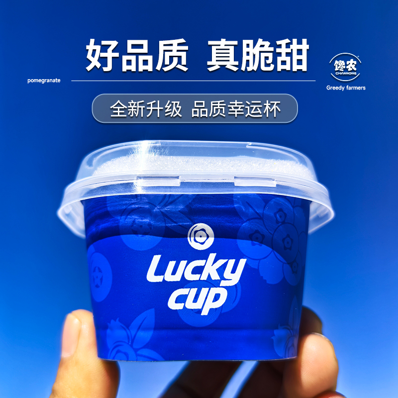 当季现摘云南花香蓝莓鲜果甜脆大果新鲜水果luckycup小蓝杯方杯装