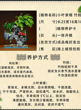 仿山景生态鱼缸摆件25缸