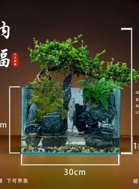 真绿植景观生态水陆办公