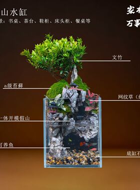 懒人造景一体鱼缸超白玻