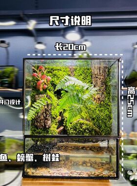 网红桌面养鱼款流水循环