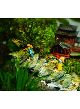 苔藓微景观生态雨林缸植