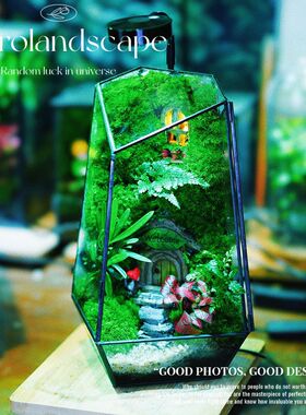 苔藓微景观森林城堡桌面