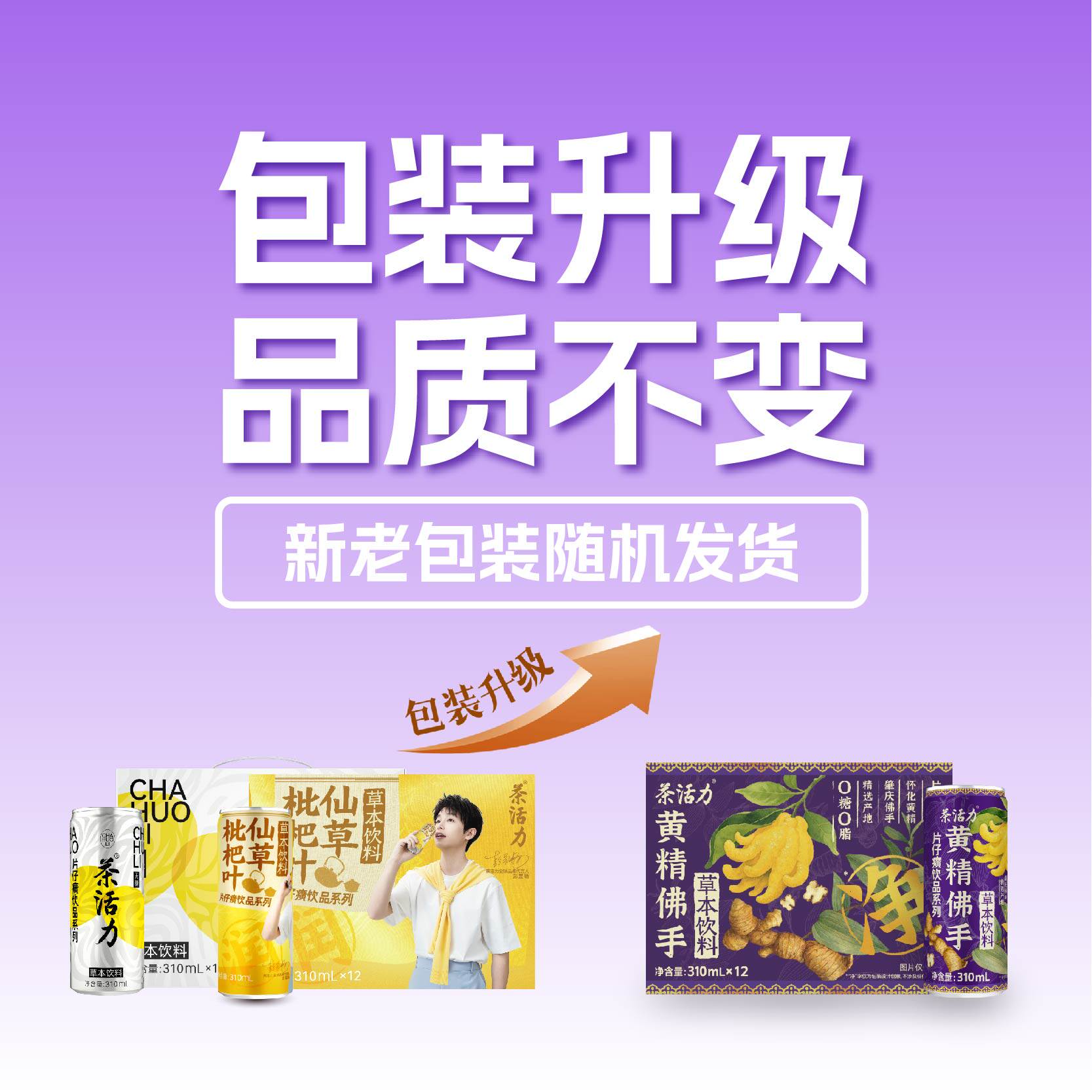 彭昱畅粉丝专享 片仔癀饮品系列凉茶310ml*12整箱茶活力草本饮料