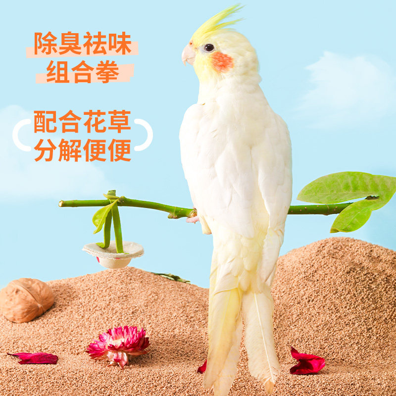 鹦鹉粪便垫料核桃砂沙芦丁鸡专用除臭清理玉米芯虎皮专用铲屎神器,淘宝优惠券,粉丝福利购,淘宝优惠卷