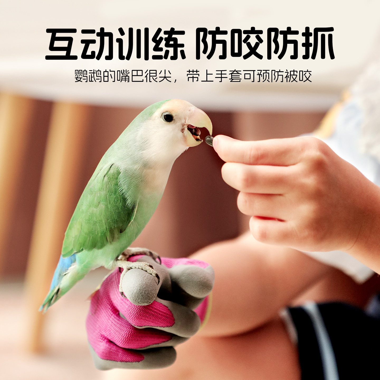 鹦鹉防咬手套小宠物仓鼠金丝熊兔子安全防护装备儿童成人防抓咬,淘宝优惠券,粉丝福利购,淘宝优惠卷