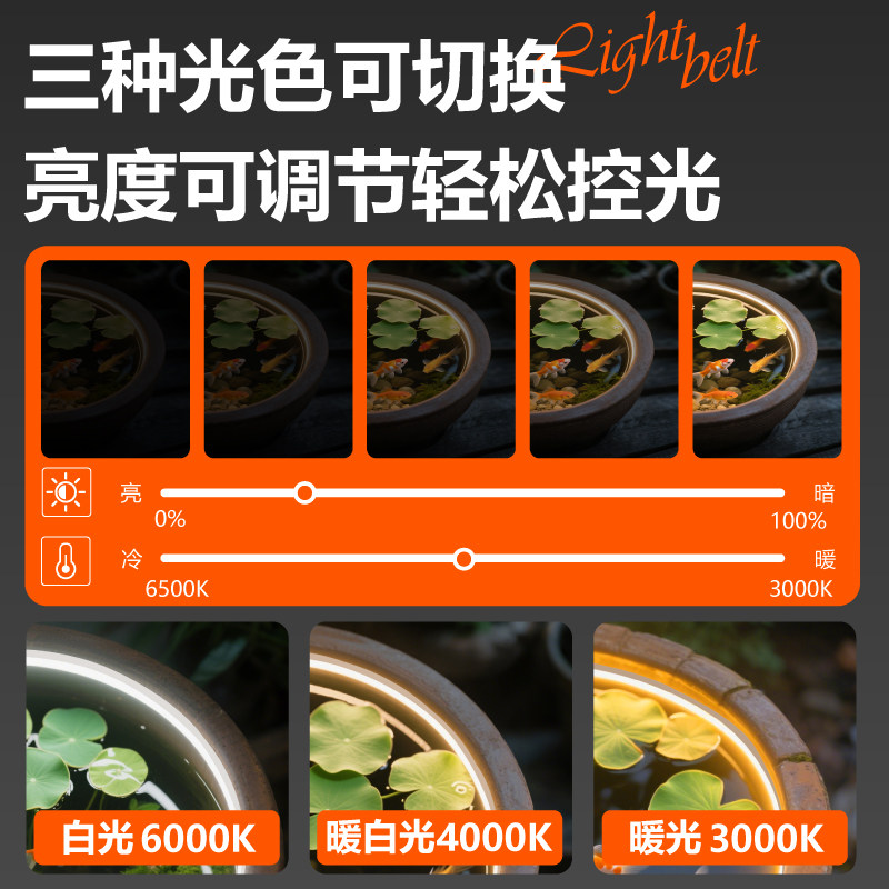 三色灯带全光谱充电自粘遥控古法养鱼陶瓷水缸水池充电款免插电灯,淘宝优惠券,粉丝福利购,淘宝优惠卷