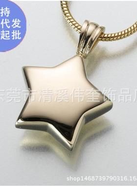 百年家事殡葬厂家纪念亲人宠物遗骨毛发刻字银色五角星骨灰盒刻字