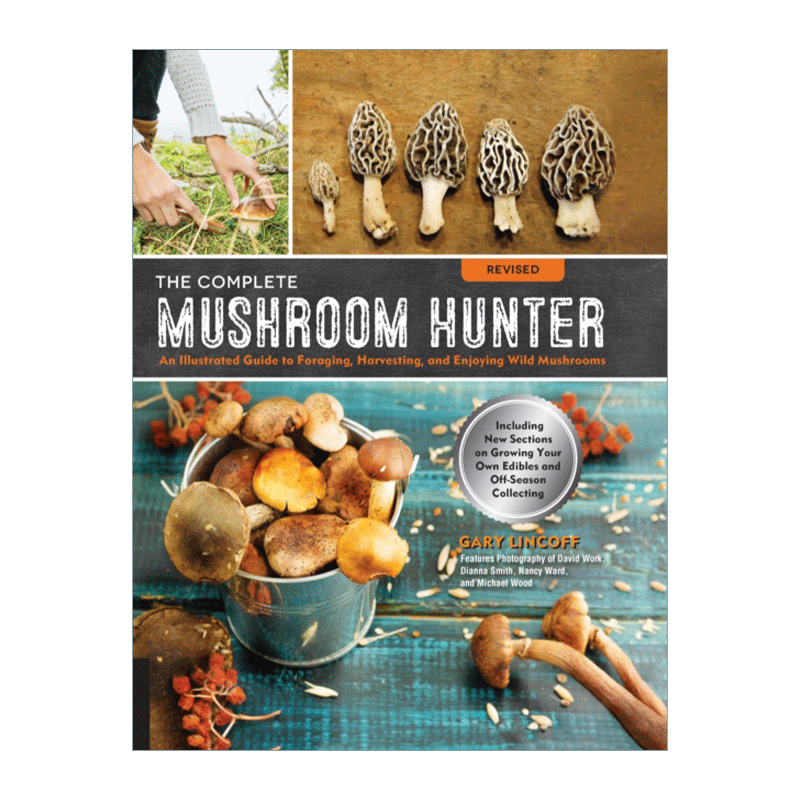 英文原版 The Complete Mushroom Hunter Revised 蘑菇猎人完整指南 修订版 觅食 采摘和享用野生蘑菇的图解指南 英文版进口英语书