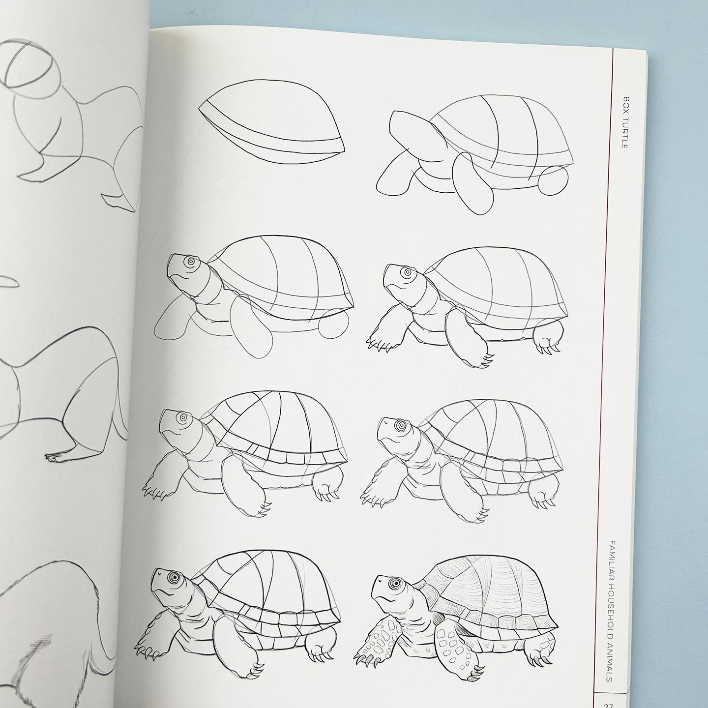 英文原版 Draw Like an Artist 100 Realistic Animals 像艺术家一样画画 100种真实动物 英文版 进口英语原版书籍