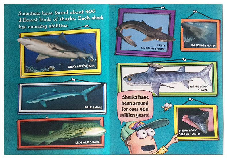 苍蝇小子鲨鱼英文原版 Fly Guy Presents Sharks Scholastic Reader, Level 2学乐分级小读本2级英文版进口英语书籍-图1