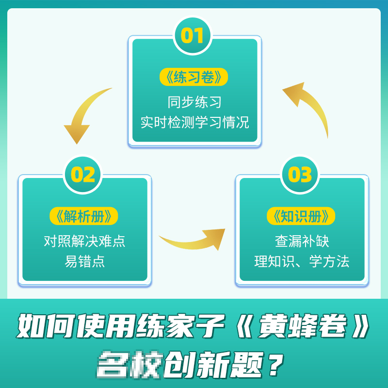 2024春练家子黄蜂卷一二三四五六年级上册下册同步试卷测试卷全套语文数学英语同步训练习册人教部编版北师大期中期末小学搭53资料 - 图2