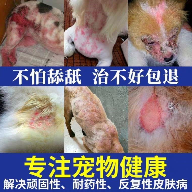 霸王狼世外神医宠物喷剂猫狗犬皮肤外用喷剂真菌螨虫体藓脱毛皮屑 - 图1