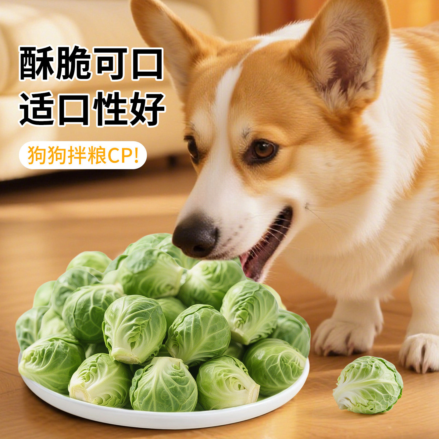 冻干孢子甘蓝狗零食果蔬菜包菜大小型犬磨牙宠物狗狗训练奖励零食,淘宝优惠券,粉丝福利购,淘宝优惠卷