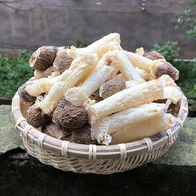 野生竹荪干货250g云南菌子特产黑帽织金竹荪孙菇营养菌菇煲汤食材-图3