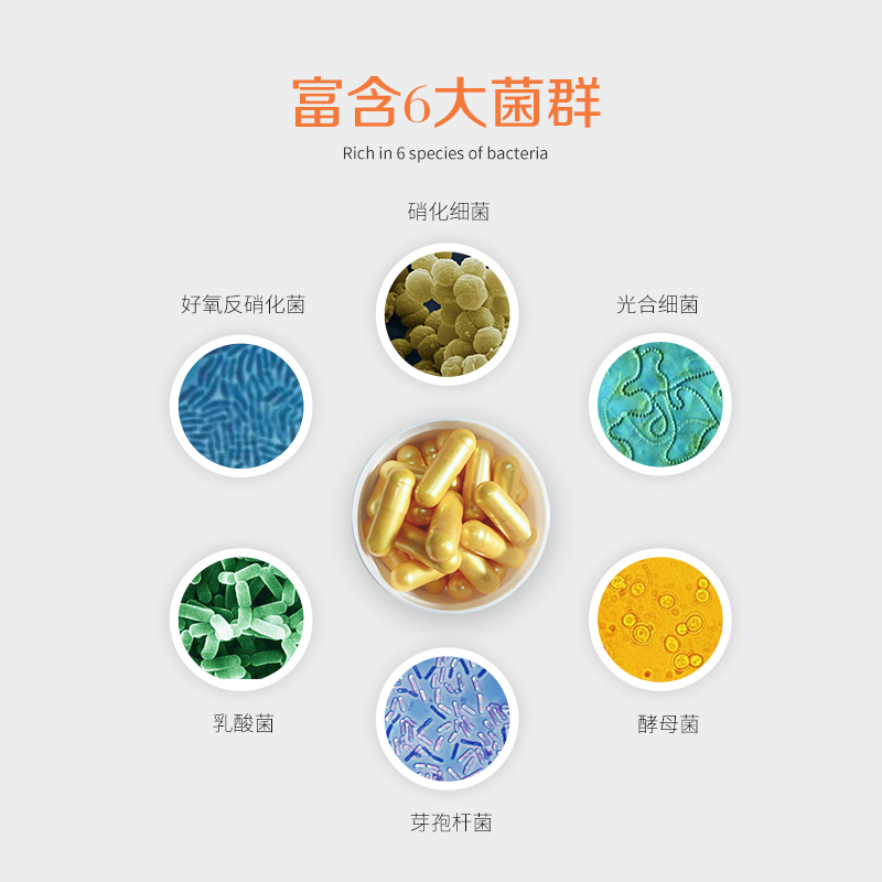 花小鱼硝化细菌胶囊干粉鱼缸用活菌净水剂消化细菌群水族宠物小鱼 - 图0