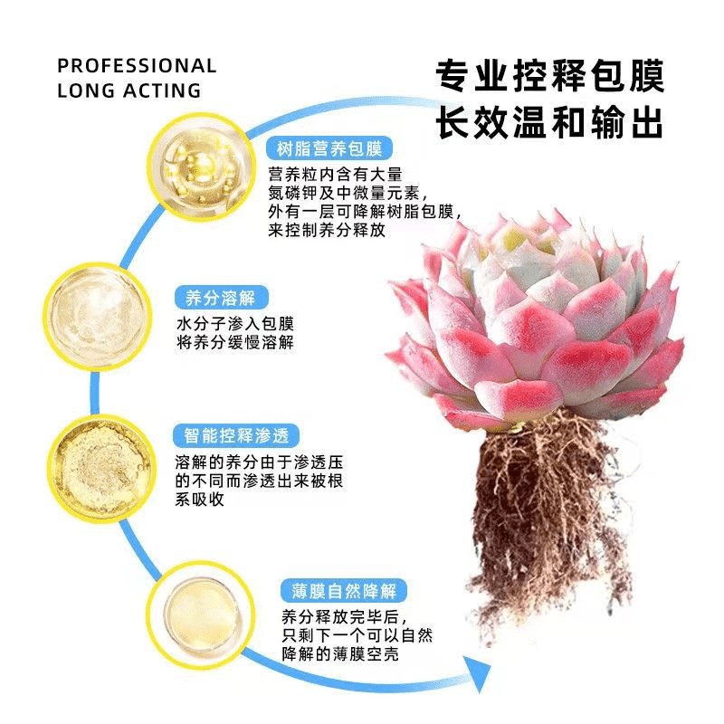 多肉控释肥爆盆增肥增色盆栽通用型多肉肥料专用肥颗粒缓释肥长效 - 图1