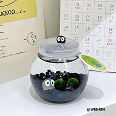 Водоросли мяч 海藻球生态瓶宠物随身瓶造景炸毛小宠物微景水培植物海藻球生态缸