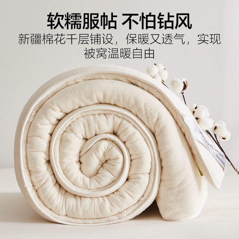 海澜之家新疆纯棉花被子加厚全棉冬被芯褥子棉胎春秋棉絮铺底床垫 - 图3