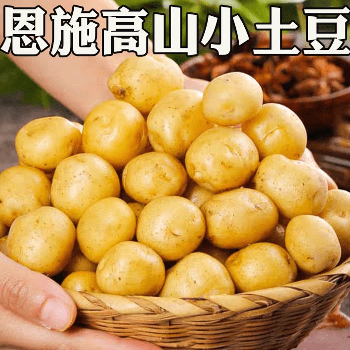 恩施小土豆整箱富硒新鲜高山洋芋9斤黄心士豆烧烤湖北马铃薯蔬菜