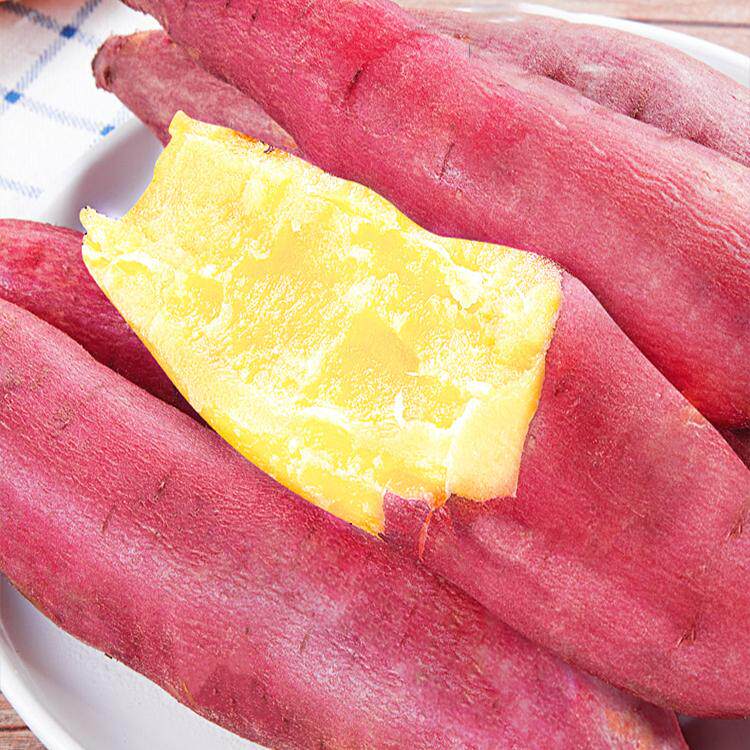 陕西临潼板栗红薯蜜薯现挖新鲜地瓜番薯农家自种小香薯非桥头地瓜