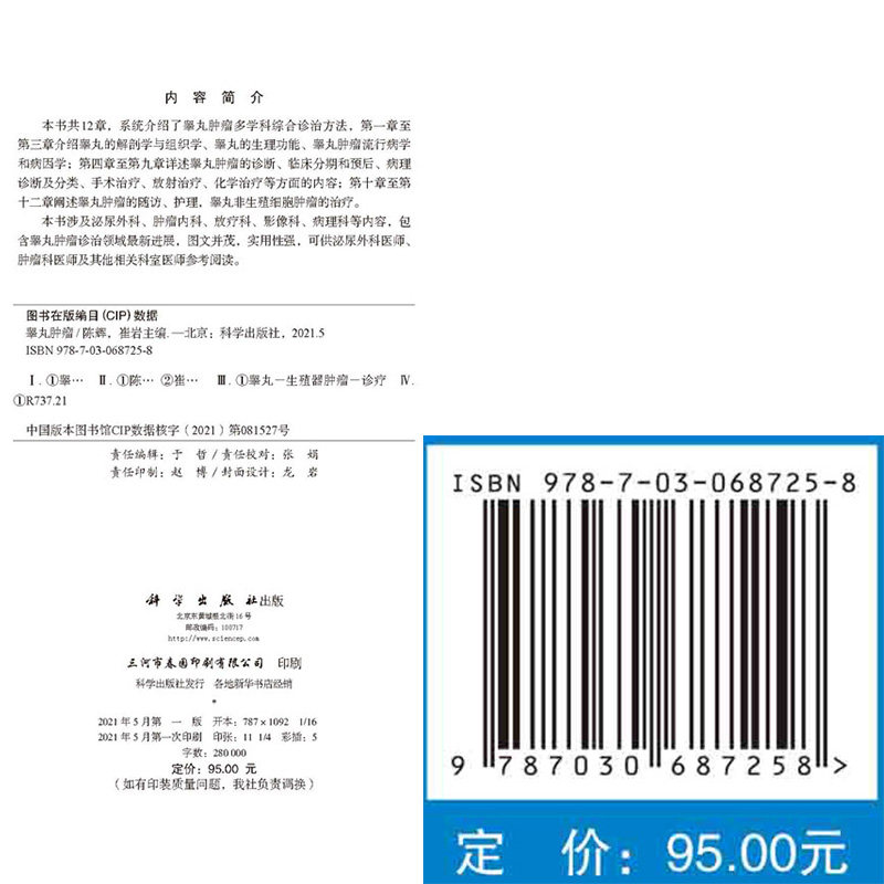 现货正版全新精装睾丸肿瘤陈辉崔岩 麦德逊图书肿瘤学