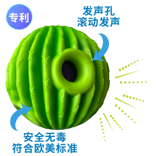 Собачья вокализованный игрушечный мяч.