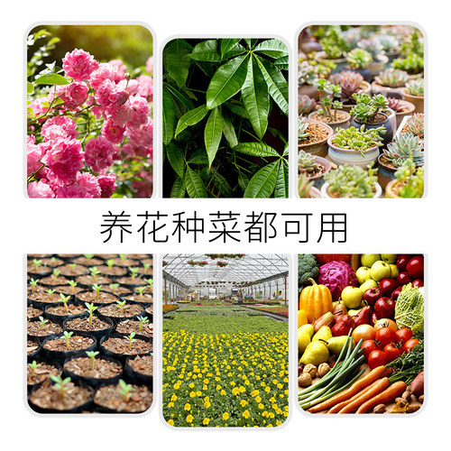 大块椰砖营养土通用型养花阳台种菜脱盐种植椰壳土壤耶砖椰糠批发 - 图3