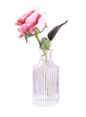 北欧ins玻璃花瓶 小清新简约水培鲜花插花瓶家居桌面干花装饰摆件