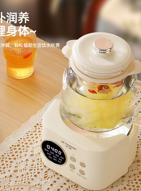 半球0胶水养生壶炖煮家用