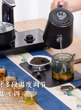 志高养生壶家用围炉煮茶器上水壶