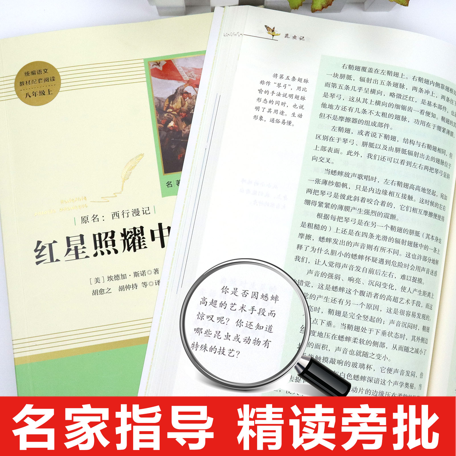 红星照耀中国和昆虫记原著完整版 八年级上册必读正版课外书人民人教育出版社初二8上必读名著初中课外阅读书籍八上红心闪耀人教版 - 图2