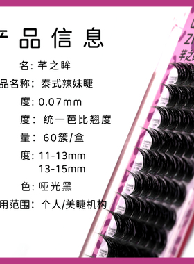 芊之眸泰式辣妹睫浓密芭比D翘