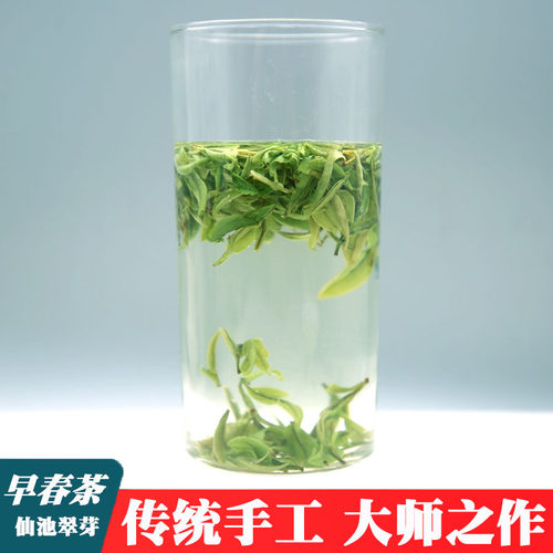 明前绿茶叶仙池翠芽栗香型广西三江春茶嫩芽小包装 - 图1
