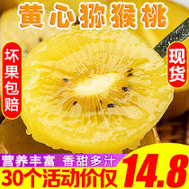 Shaanxi Golden Peach Chic Exotic Fruit Fresh Pregnant Woman Fruit When Season Chiecchio Great Fruit Zhengjong Mass Peach Whole Box 10