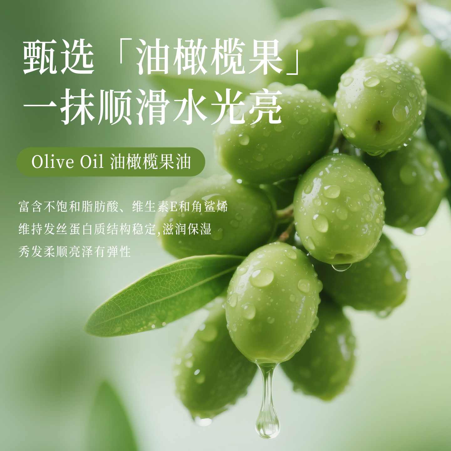 卡伊莲橄榄柔顺护发素女柔顺顺滑生姜去屑正品官方品牌润发乳