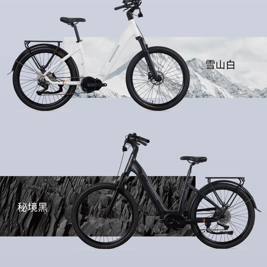 XINGQIDONG mid-mounted electric-assisted bicycle