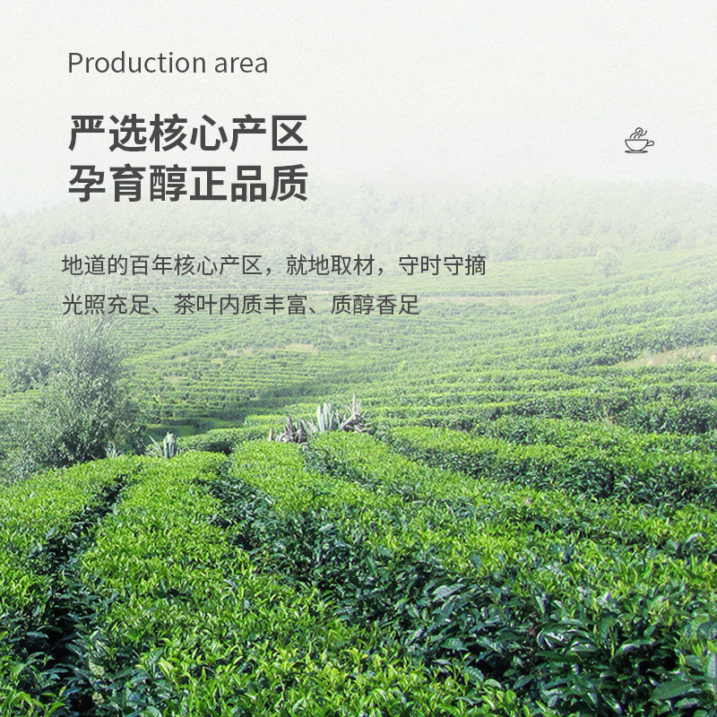 lipton立顿红茶茶包立顿黄牌精选红茶商用锡兰红茶立顿官方旗舰店-图0