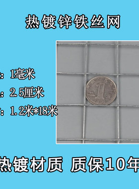 镀锌铁丝网热镀锌钢丝网围栏防锈小孔格网户外栅栏养殖防护网家用