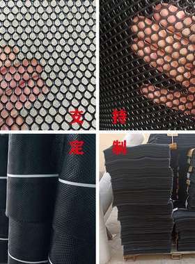 黑加厚塑料小孔育雏网床漏粪鸡鸭鹅鱼塘隔离网片防鸟宠物防护围栏