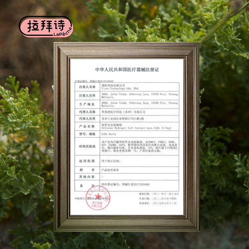 拉拜诗硅水凝胶日抛逃离都市隐形近视透明眼镜官方正品30片*4舒适 - 图3