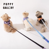 Корея roppygallery a+собака Туяющая веревка сетка красная маленькая и средняя для собачьей собаки веревки для собак ходьба