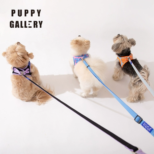 Корея roppygallery a+собака Туяющая веревка сетка красная маленькая и средняя для собачьей собаки веревки для собак ходьба