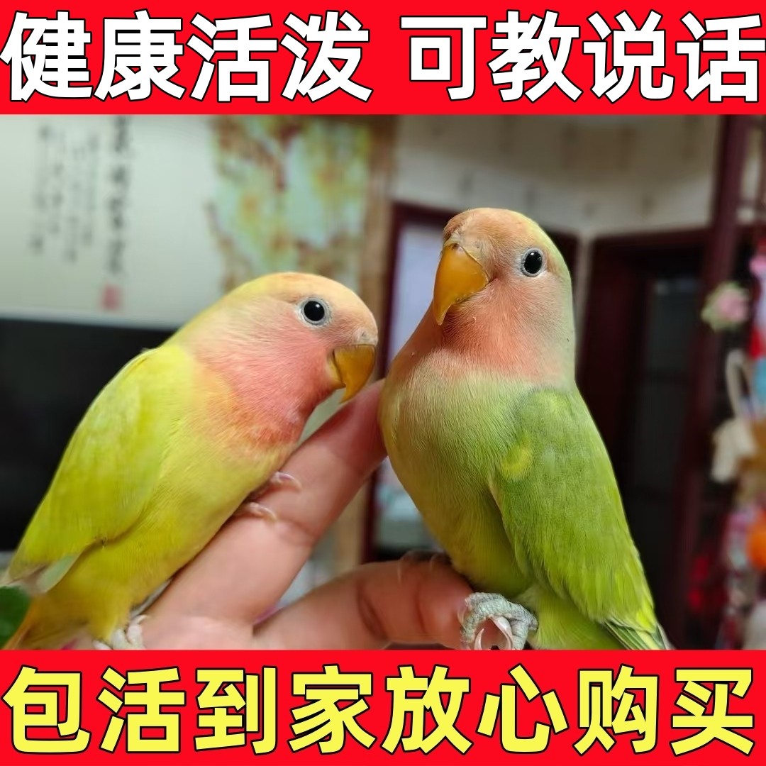 图3