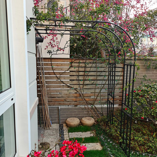 半边拱门花架爬藤架月季藤架单边阳台半幅拱形葡萄架支架花架子 - 图2