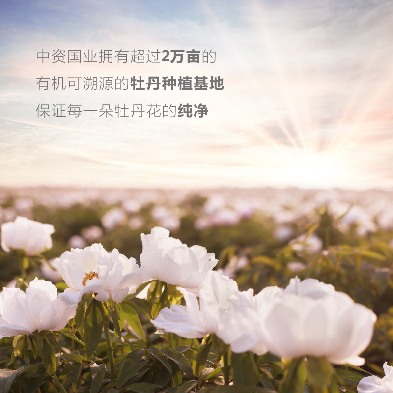 汉唐国韵牡丹保湿精粹露修护爽肤水 汉唐国韵纯露/花水