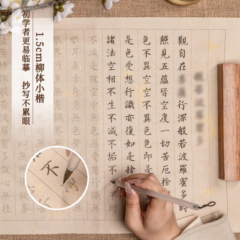 小楷临摹字帖抄经临摹本静心手抄行书练字帖成人软笔静心毛笔金刚道德经临摹字帖经药师临摹地藏经书抄写套装